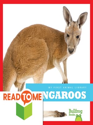 Kangaroos - ebook
